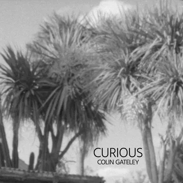 CURIOUS by Colin Gateley - album cover