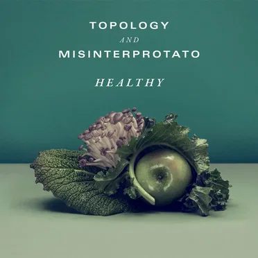 Healthy by Misinterprotato - album cover