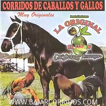 Corridos de caballos y gallos