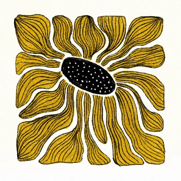 Sunflowers by Library Card - album cover