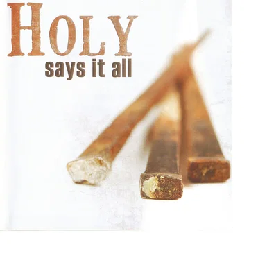 Holy Says It All by North Metro First Baptist Church Celebration Choir - album cover