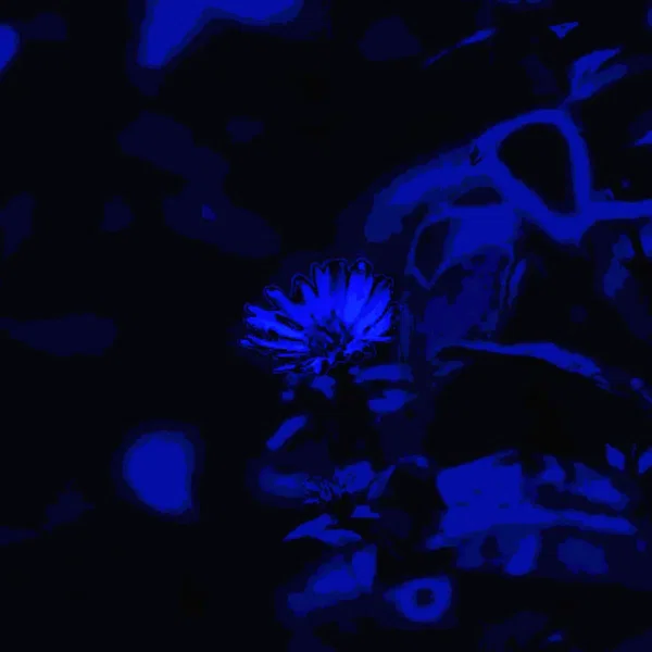 Story of the lone Daisy