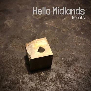 Robots