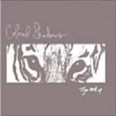 Tiger Mask by Colored Shadows - album cover