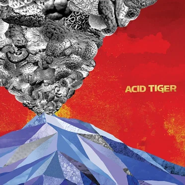Acid Tiger by Acid Tiger - album cover