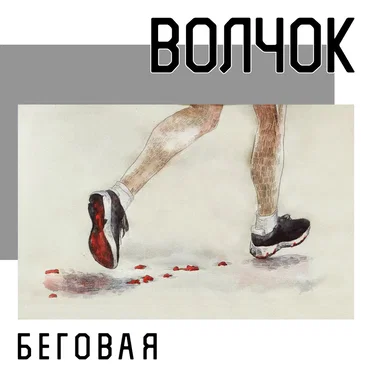 Беговая by Волчок - album cover