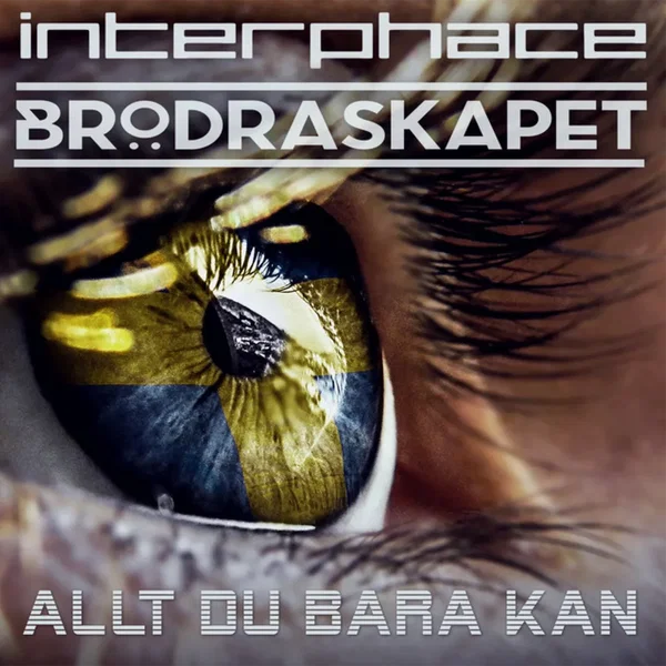 Allt Du Bara Kan