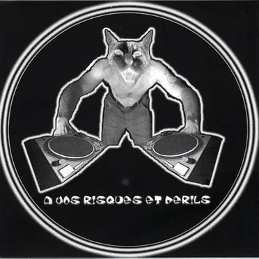 A Vos Risques Et Perils
