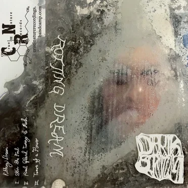 Rotting Dream by Dark Scrotuum - album cover