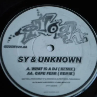 What Is a DJ / Cape Fear (Remixes)