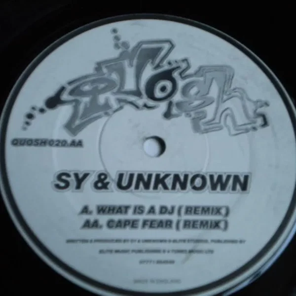 What Is a DJ / Cape Fear (Remixes)