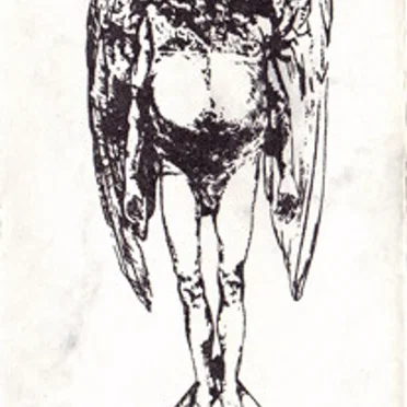 Lux Umbrarum