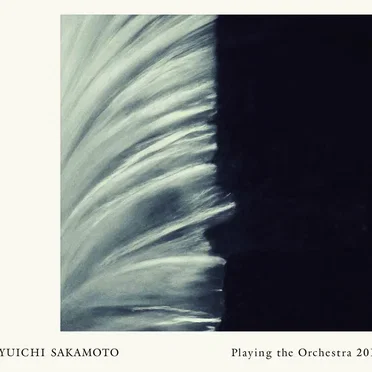 Playing the Orchestra 2013