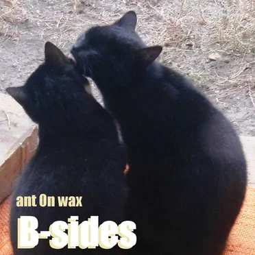B-sides by Ant on Wax - album cover