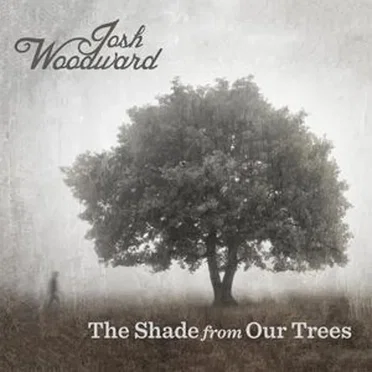 The Shade from Our Trees