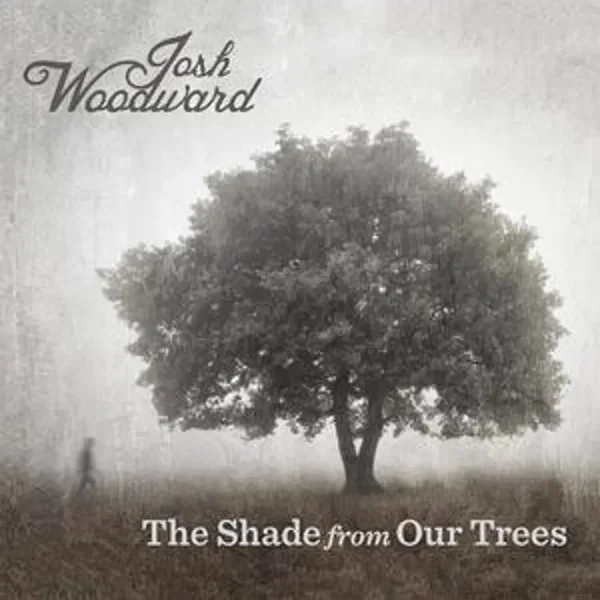 The Shade from Our Trees
