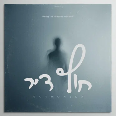 חוץ דיר