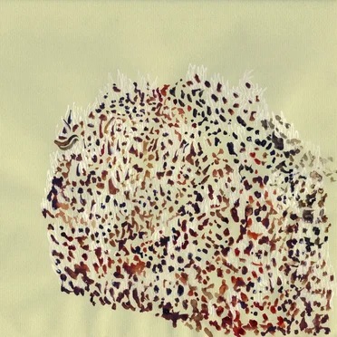 Música normal by Ulises Hadjis - album cover