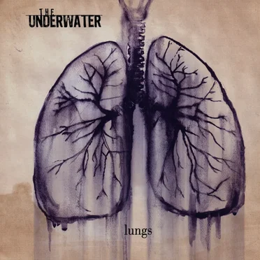 Lungs