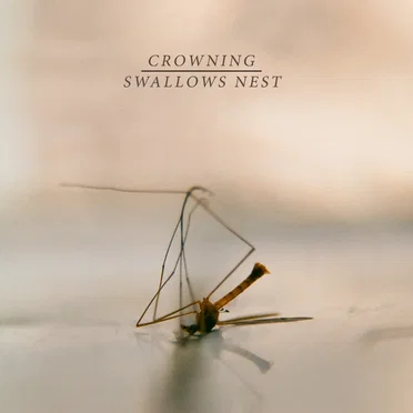 Crowning / Swallows Nest - Split