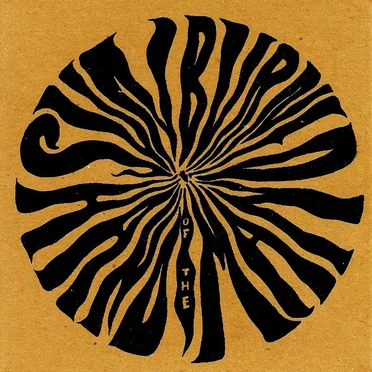 The Secret in Disguise