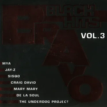 Bravo Black Hits, Vol. 3 by Various Artists - album cover