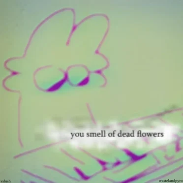 you smell of dead flowers by vslush - album cover