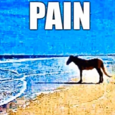 Pain