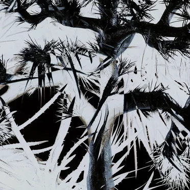 Plastic Tree