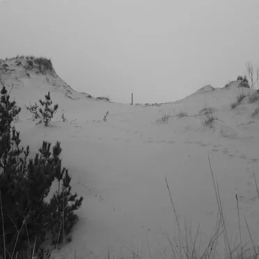 Desert Saunter