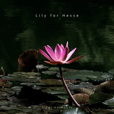 Lily for Hesse