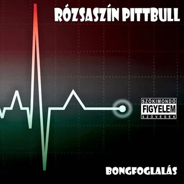 Bongfoglalás