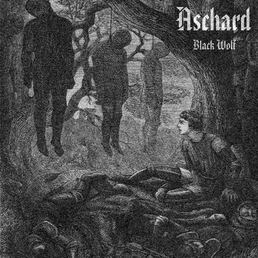 Black Wolf