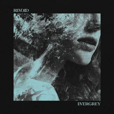 Evergrey by Revoid - album cover