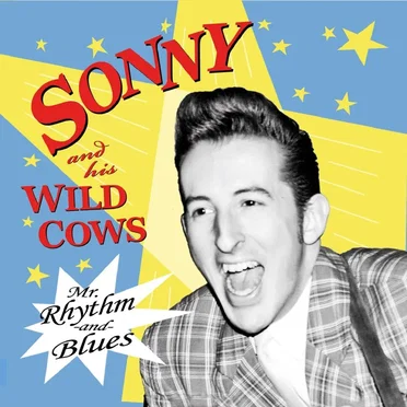 Mr. Rhythm And Blues by Sonny & His Wild Cows - album cover