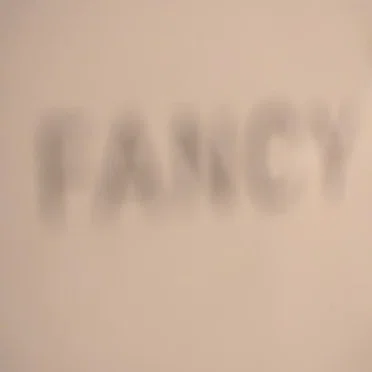 Fancy