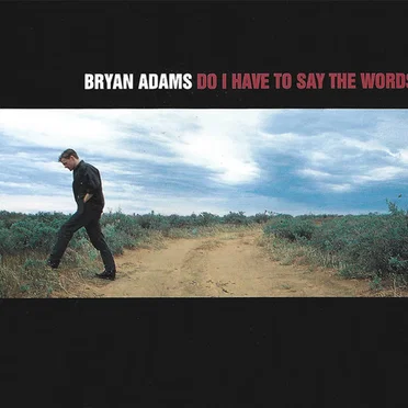 Do I Have To Say The Words?