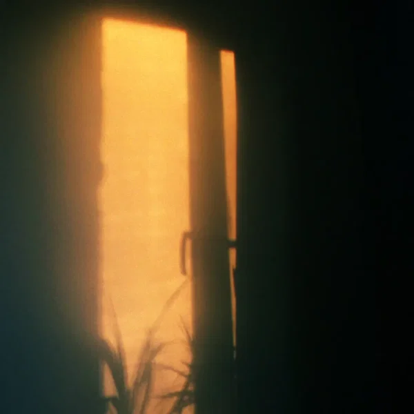 wake up slowly (the sun and you)