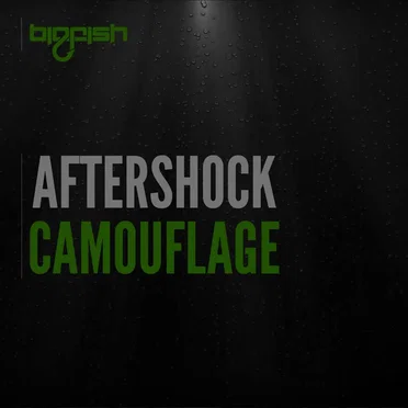 Camouflage by Aftershock - album cover