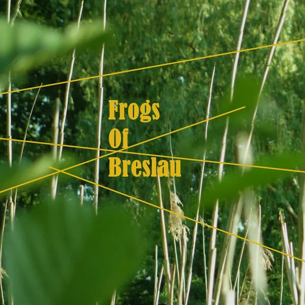 Frogs of Breslau (charity field recording)