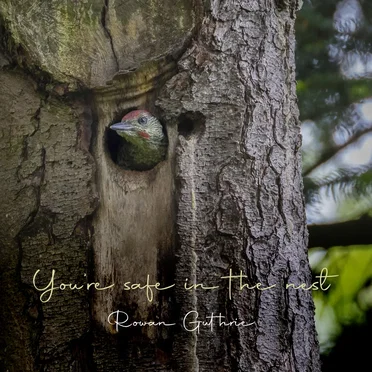 You’re Safe in the Nest