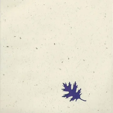 Two Perspectives at Two Locations Along the Sumiyairi River in Naguri‐Mura, Saitama Prefecture, Japan