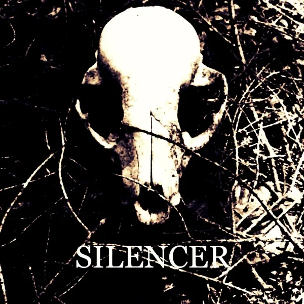 Silencer