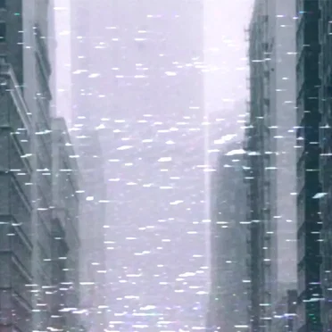 雨
