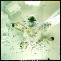 The Tourists artist image