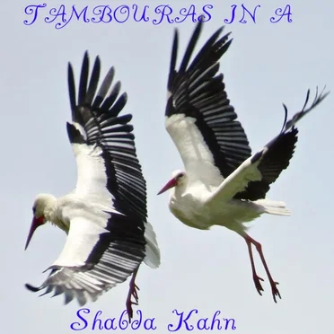 Tambouras in A