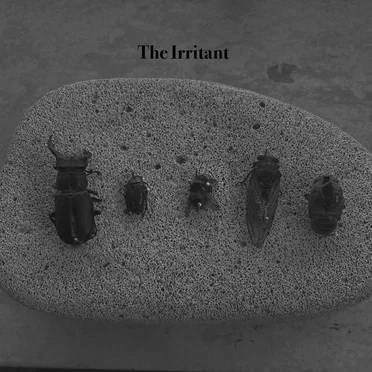 The Irritant
