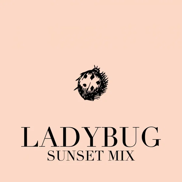 Ladybug