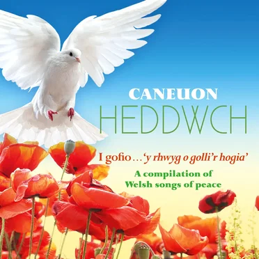 Caneuon Heddwch by Various Artists - album cover