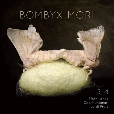 Bombyx Mori by 3,14 - album cover